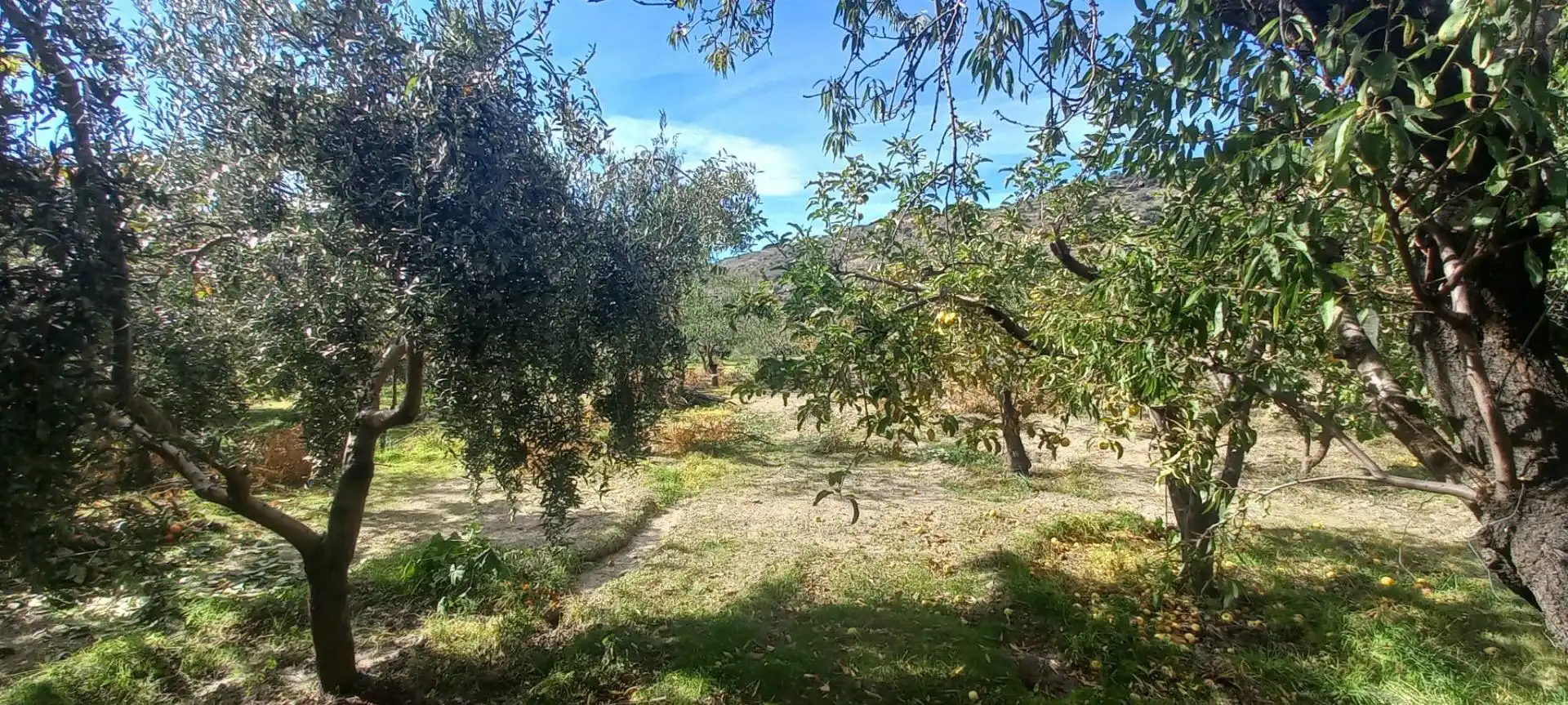 Casa rústica amb terrassa en venda a Cádiar, imagen 27