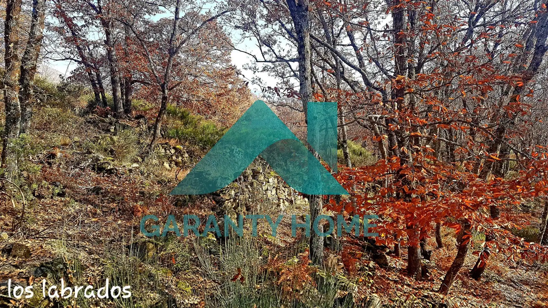 Finca rústica en venta en Aldeanueva de la Vera