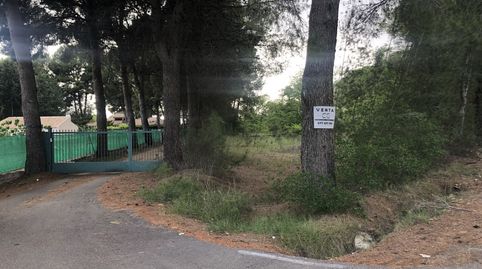Terreno en venta en Hellín., immagine 4