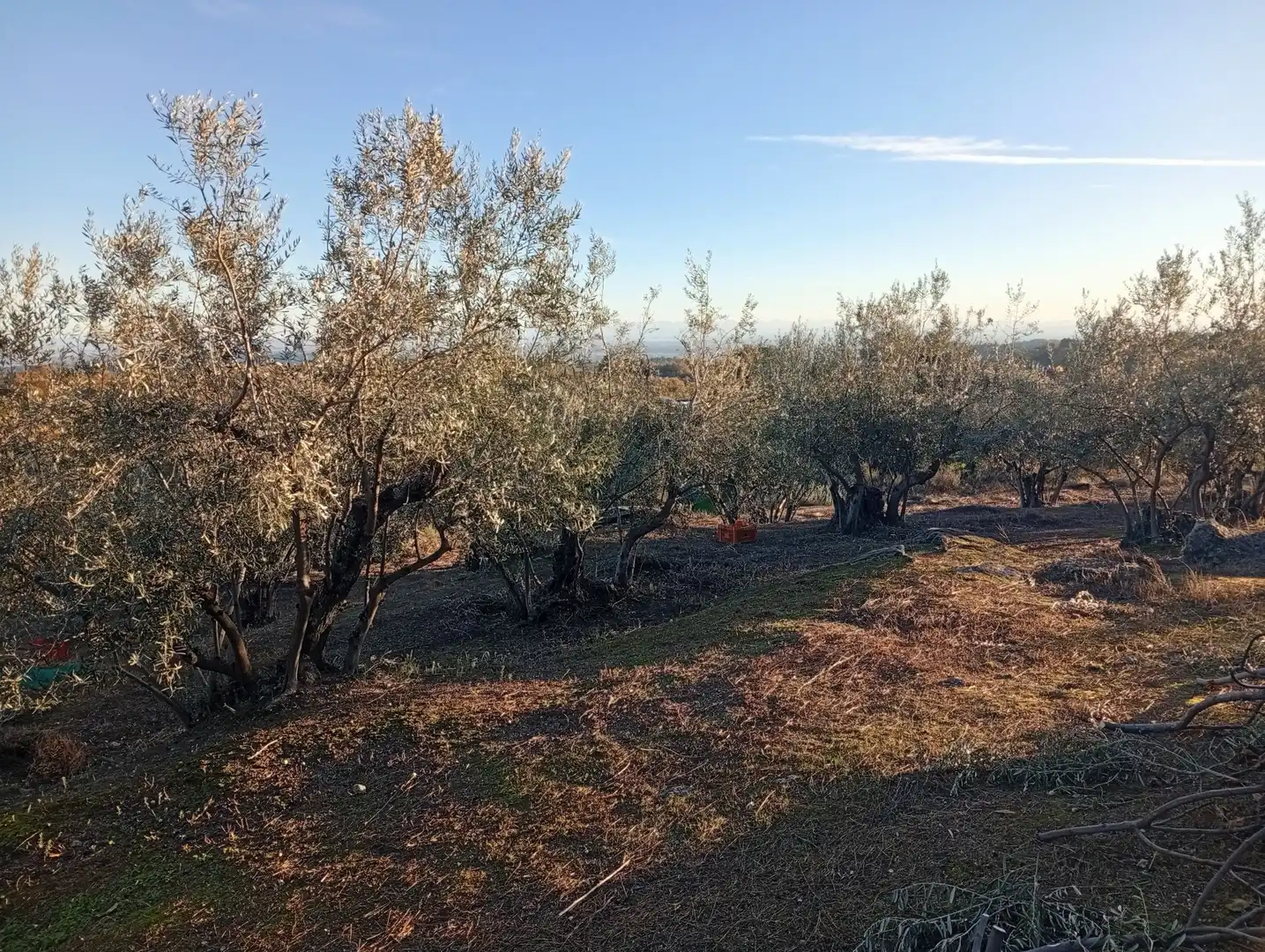 Terreni e lotti in vendita a Villanueva de la Vera, imagen 11