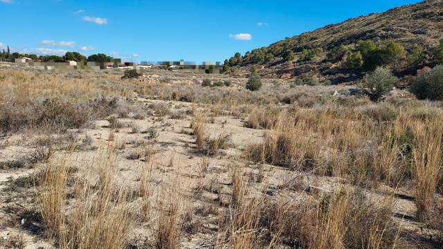Terreno en Venta en Diseminado Moralet, 25D en Moralet