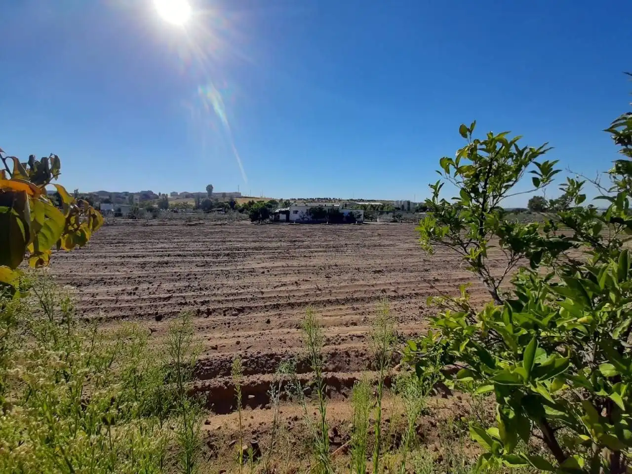 Casa o chalet en venta en Calamonte