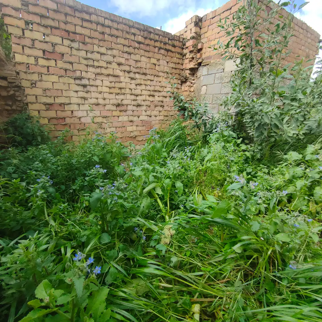 Residencial en venda en Sanlúcar la Mayor