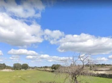 Rural land for sale in Aldea del Cano