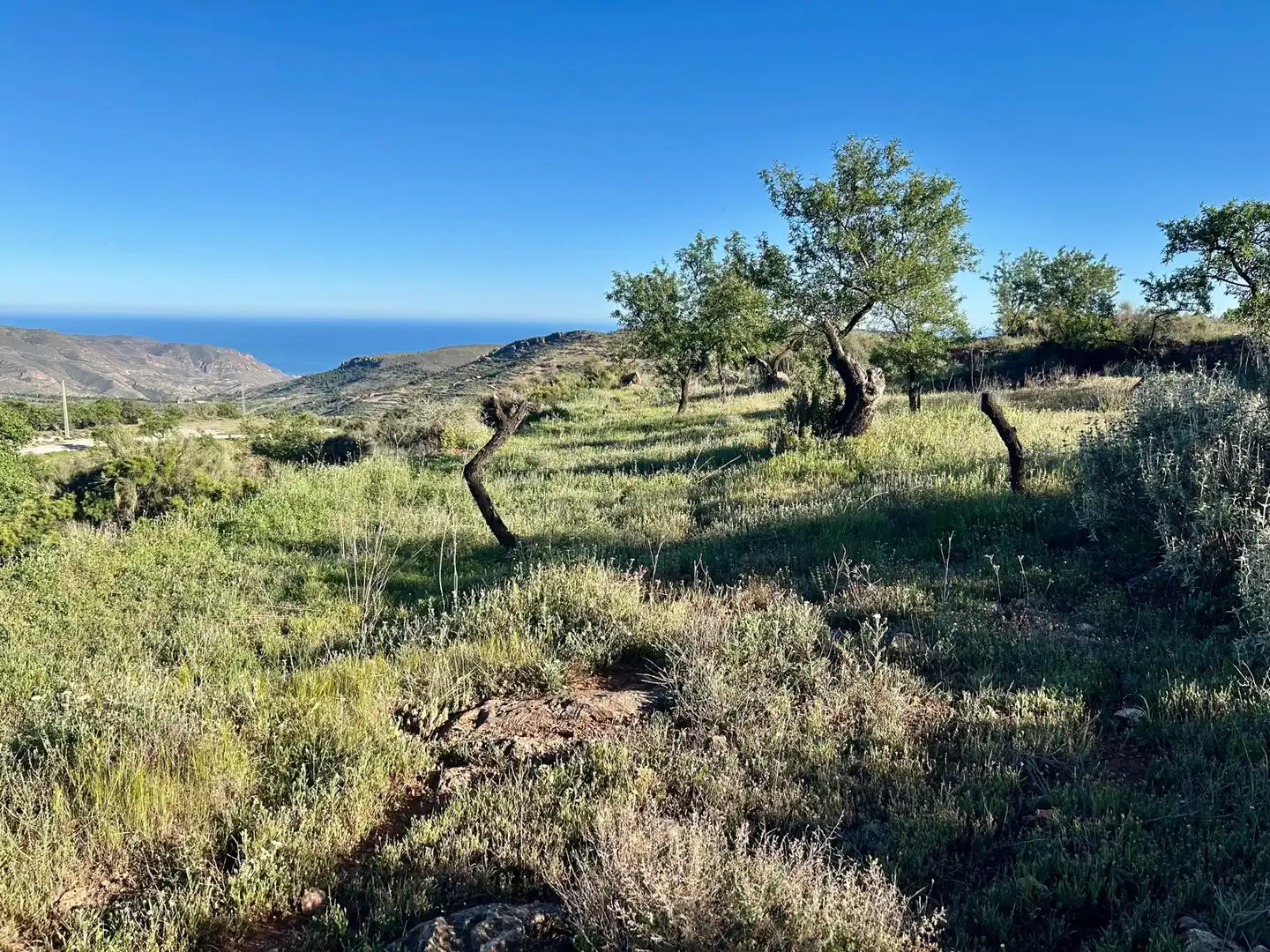 Terreno en venta en Felix