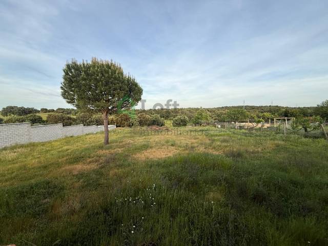 Casa-chalet en Venta en Dehesilla de Calamón - Campomanes