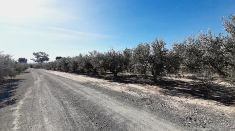 Photo 5 of Land for sale in El Fenazar - Campotéjar, Murcia