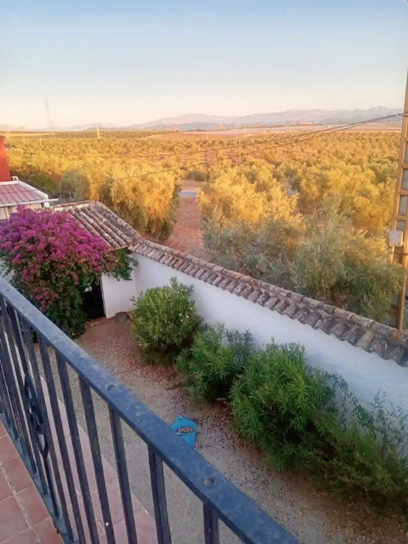 Jardín de Finca rústica en venta en Antequera con Terraza