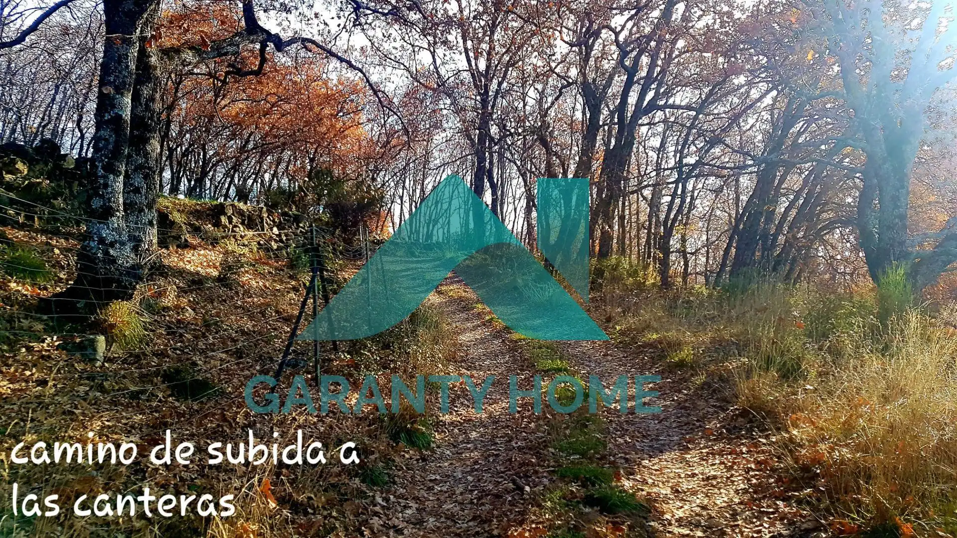 Finca rústica en venta en Aldeanueva de la Vera