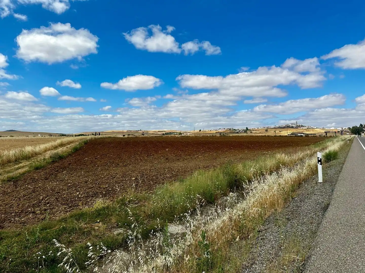 Rural land for sale in Fuente Obejuna, imagen 4