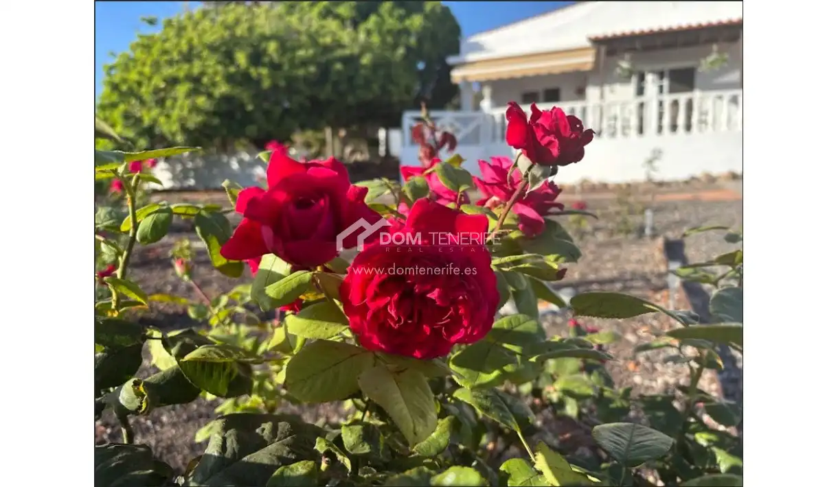 Casa en venda a Playa de San Juan, imagen 5