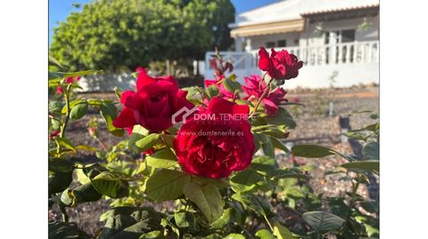 Foto 5 de Casa o chalet en venta en Playa de San Juan, Guía de Isora