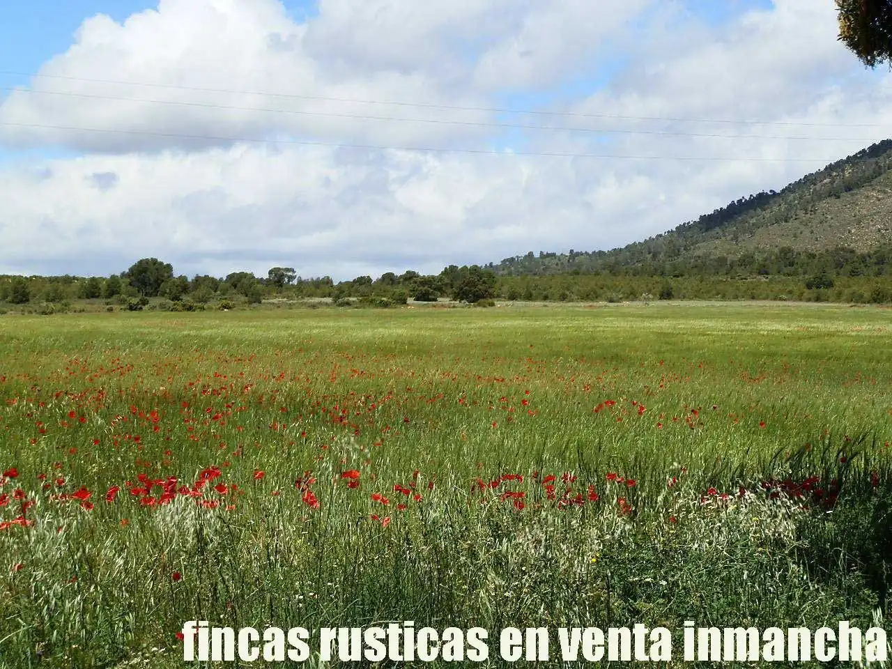 Terreni e lotti in vendita a Elche de la Sierra