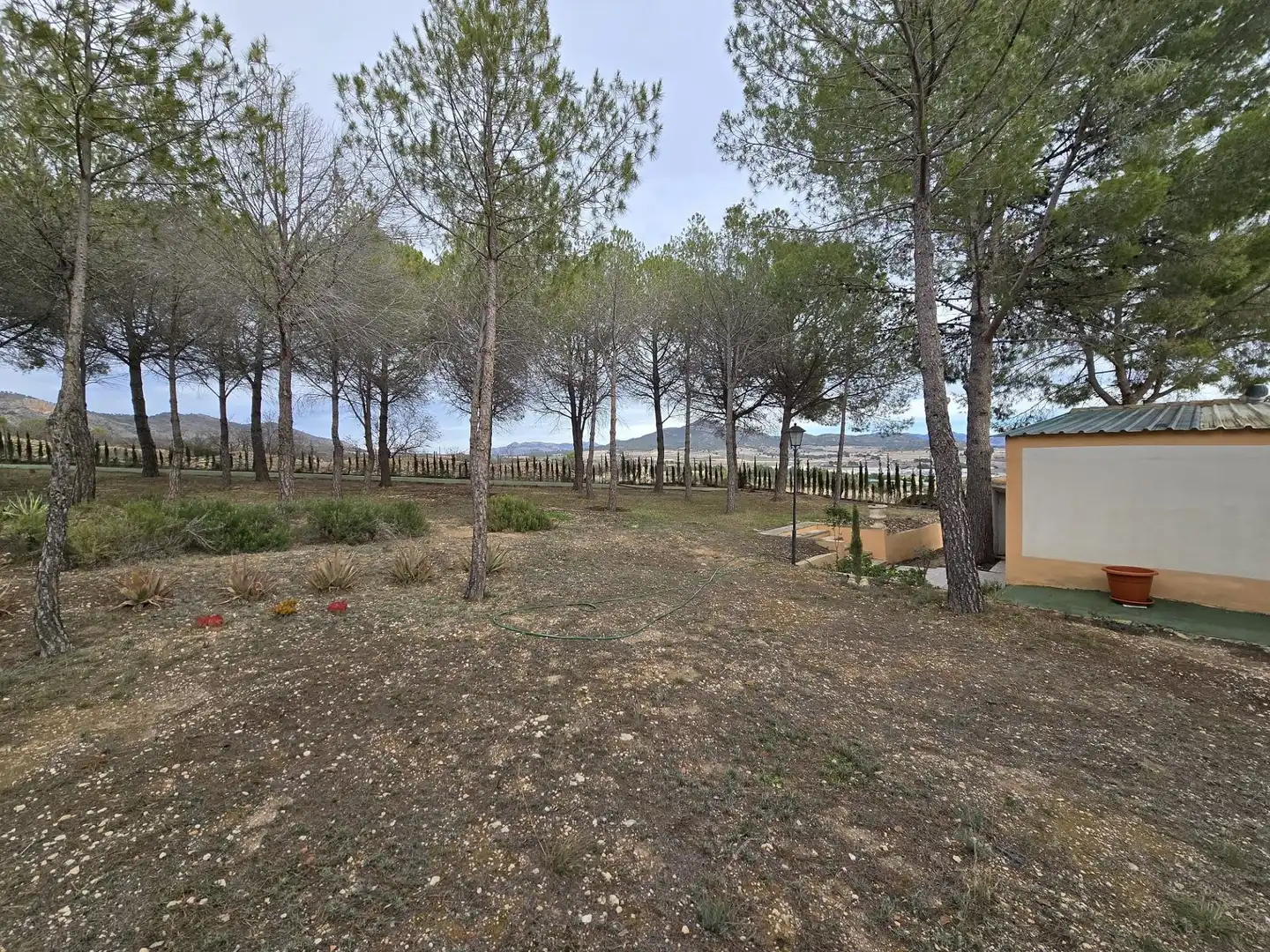 Finca rústica en venta en Salinas con Aire acondicionado, Calefacción y Terraza