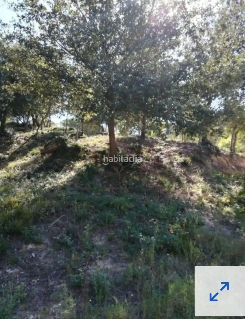 Grundstücke und Bauplätze zum Verkauf in Carrer Mimoses 541, imagen 5