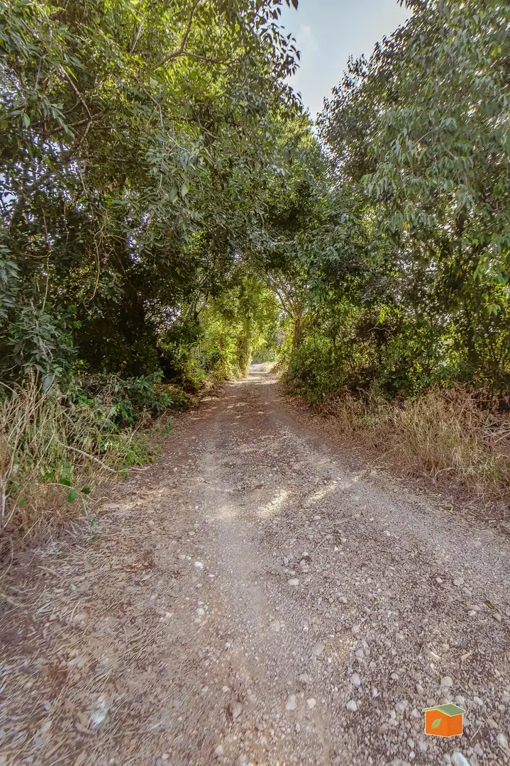 Rustikales Grundstück zum Verkauf in Santa Bàrbara, imagen 12