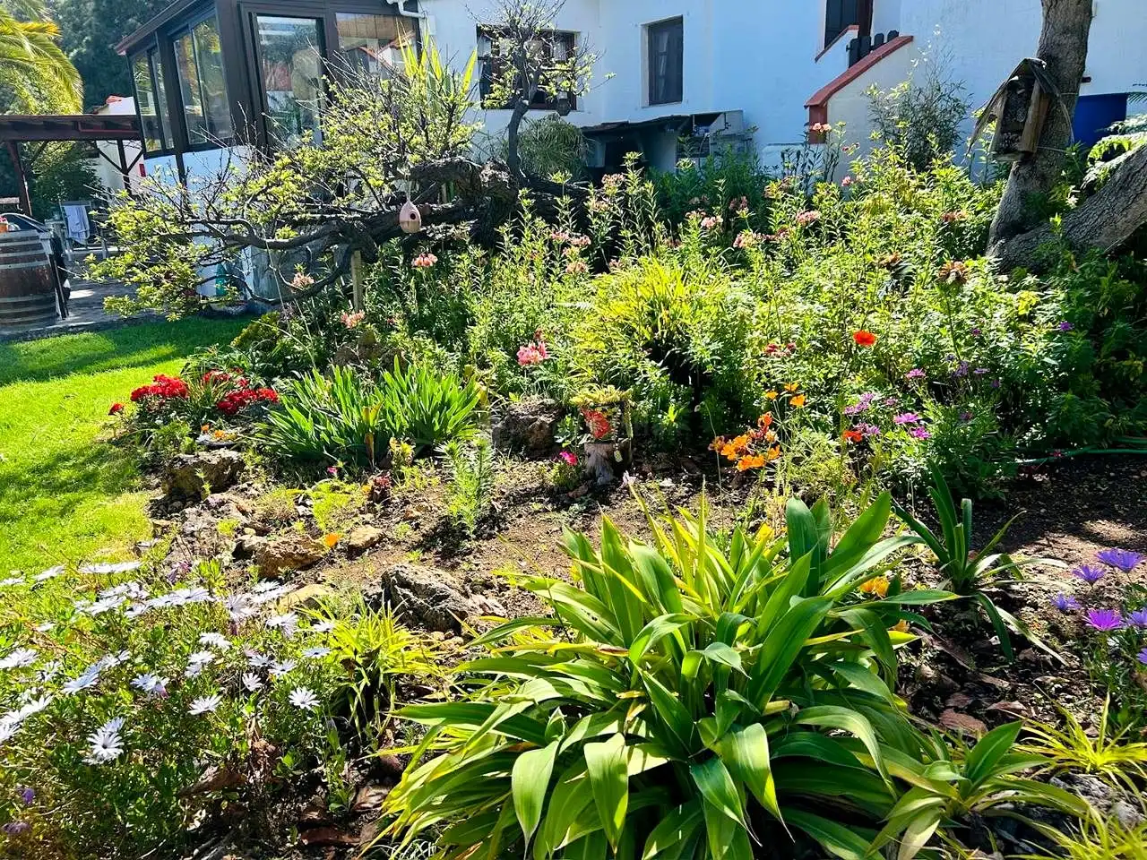 Casa con jardín en venta en Camino Esperenza, imagen 15