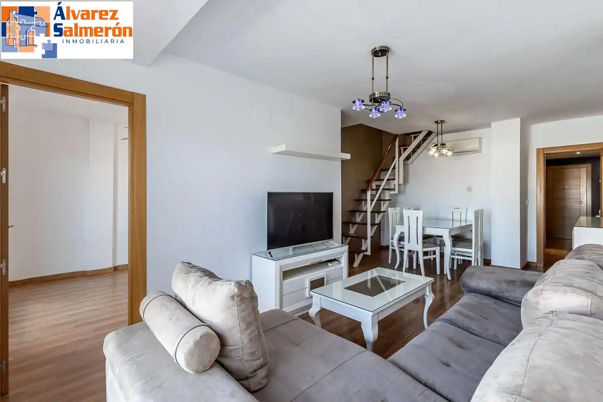 Sala d'estar de Àtic en venda en Alhendín