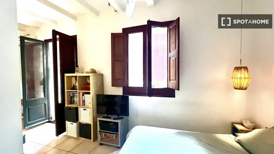 Piso con terraza en alquiler en Ciutat Vella, imagen 14