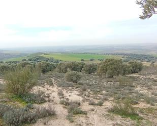 Land for sale in Palomeque