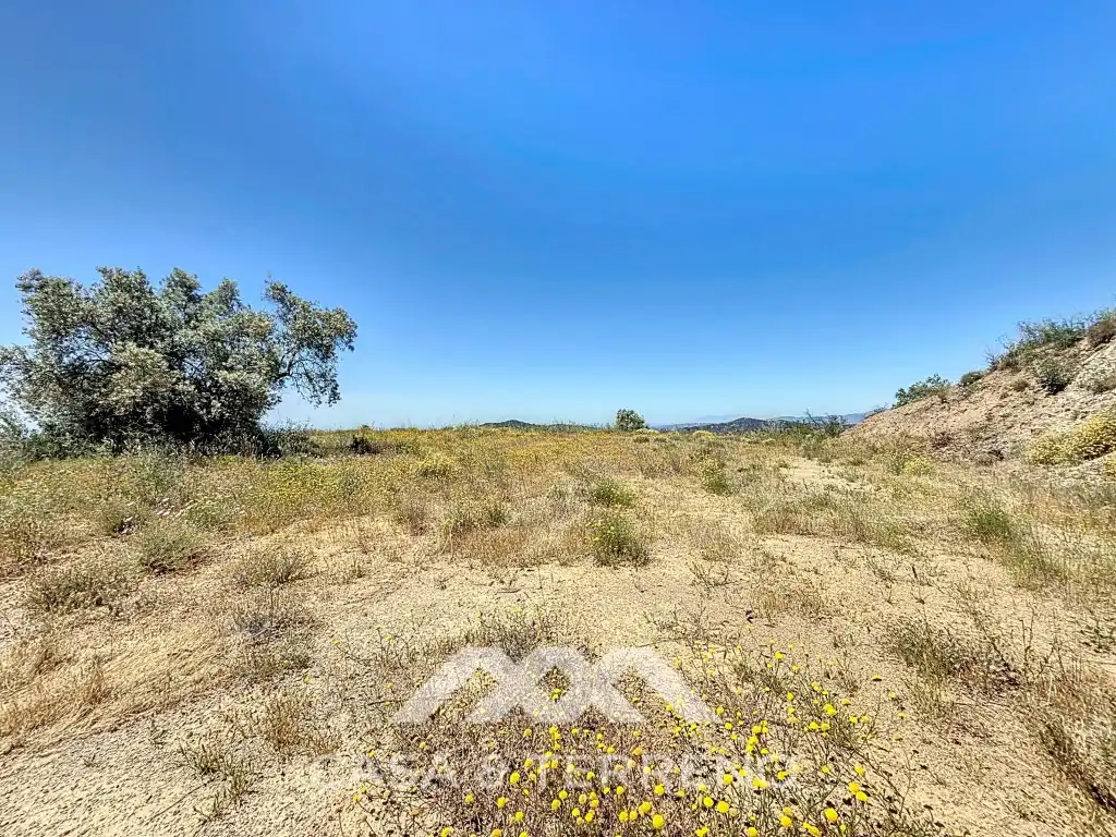 Land for sale in Canillas de Albaida