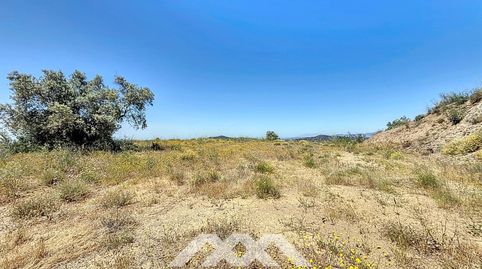 Se vende Parcela rústica con mucho potencial  Canillas de Albaida, imatge 3