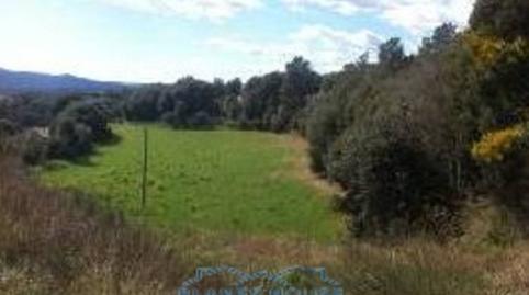 Photo 5 of Land for sale in Coma D´en Regàs, Massanes, Girona