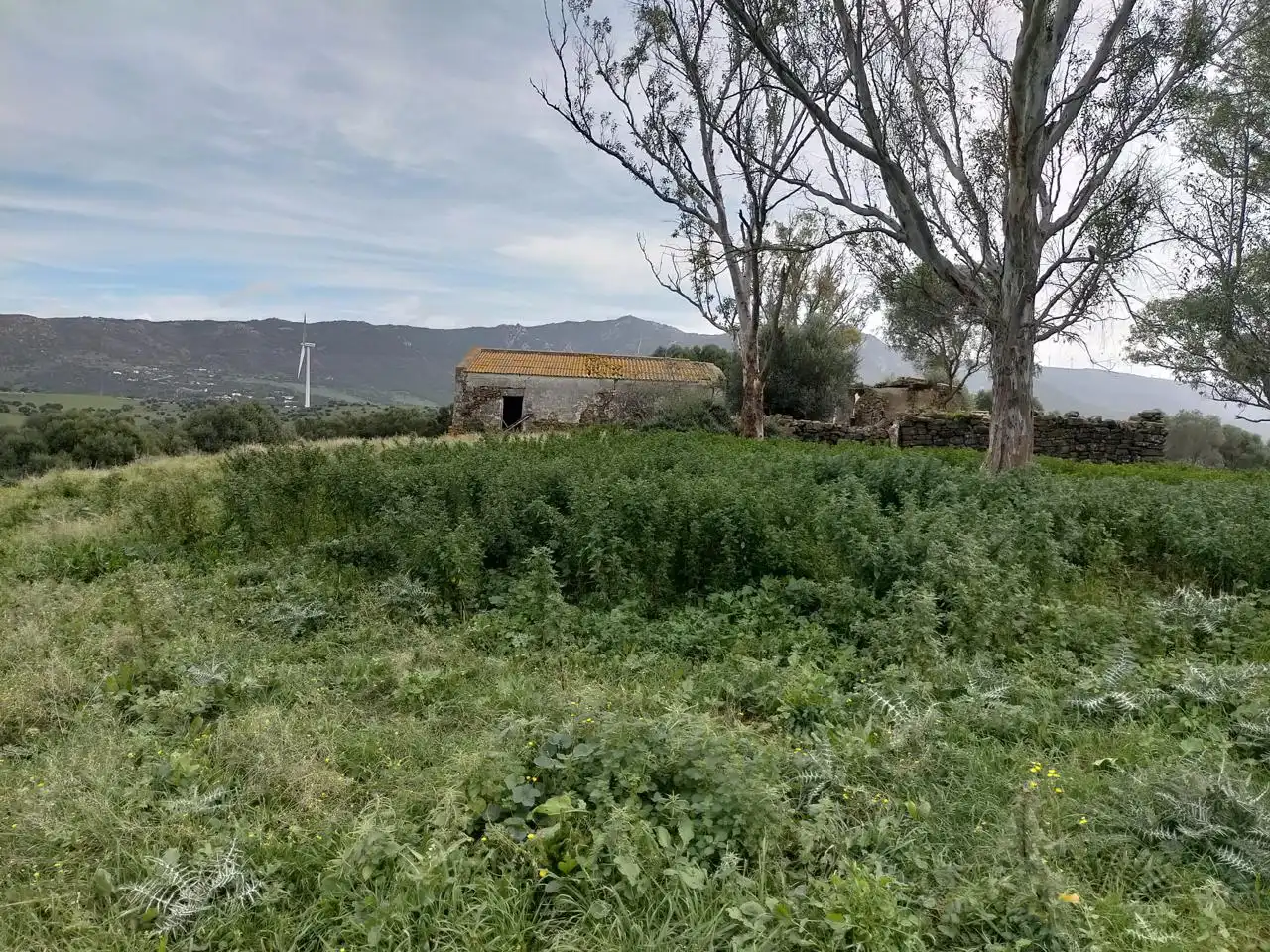 Residential for sale in Ubrique