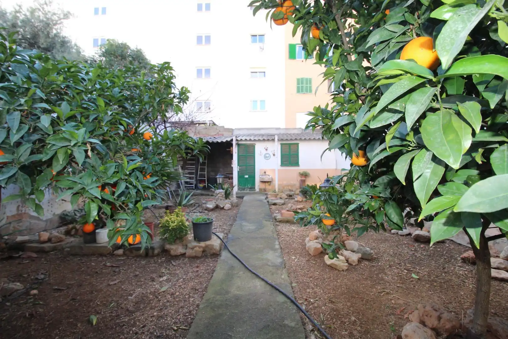 Jardín de Casa o chalet en venta en  Palma de Mallorca con Jardín privado y Terraza