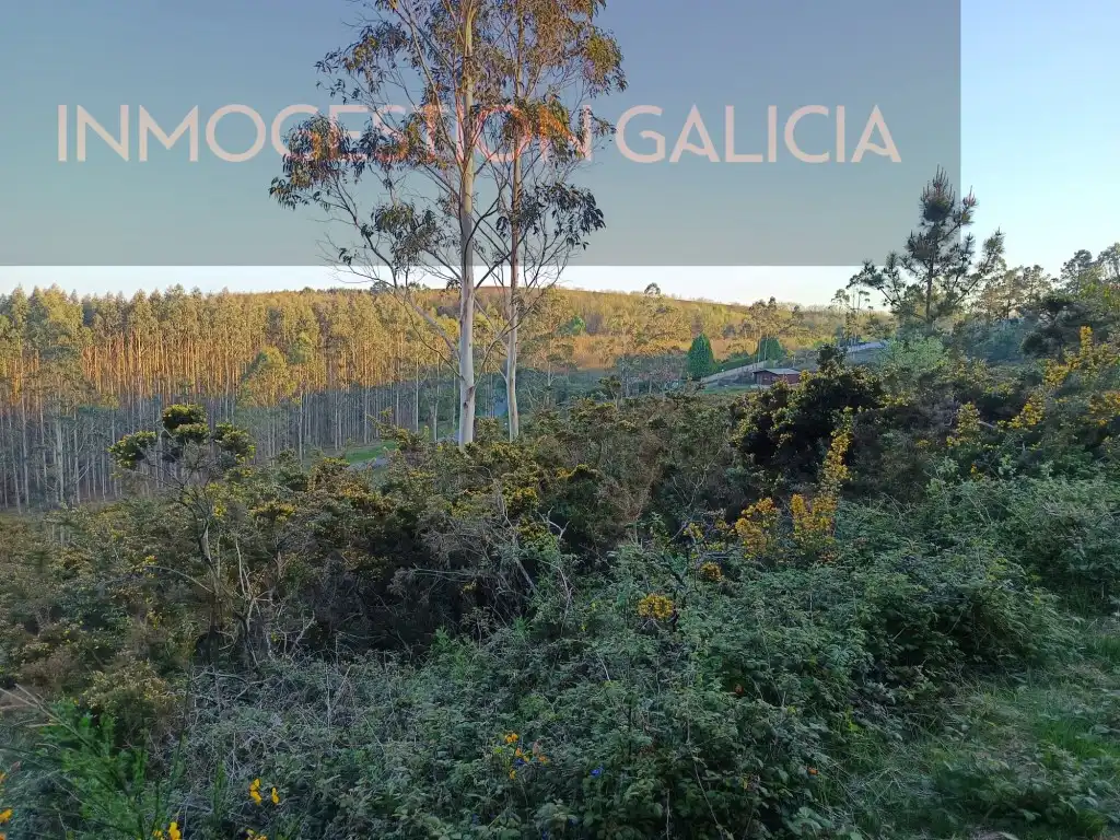 Residential land for sale in Rua Magnolio
