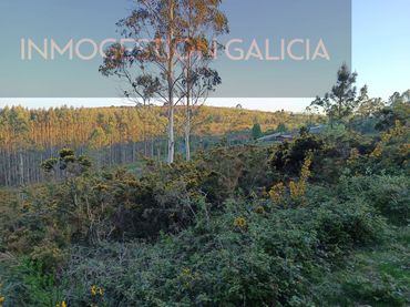 Terreno residencial en venta en Rua Magnolio