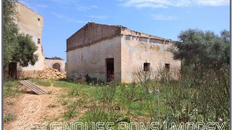 Photo 4 of Land for sale in Camino Sta Magdalena, Sn, Zona Periurbana, Inca