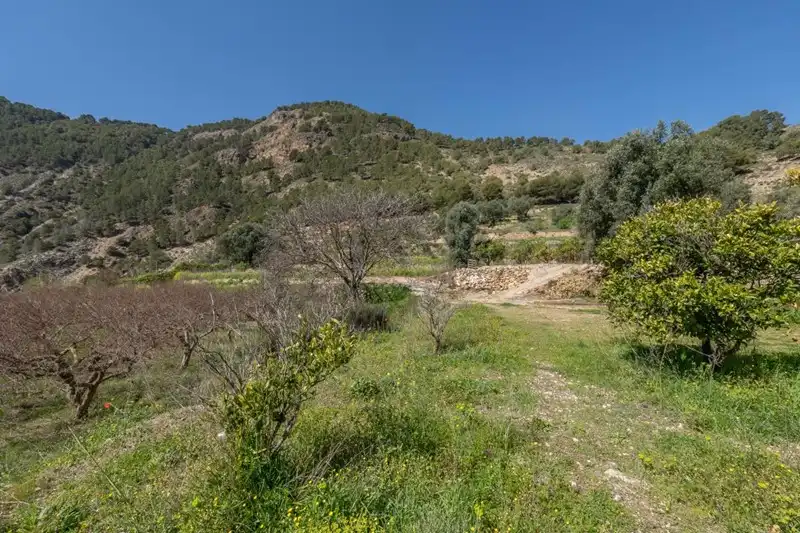 Terreni e lotti in vendita a Villamena, imagen 24