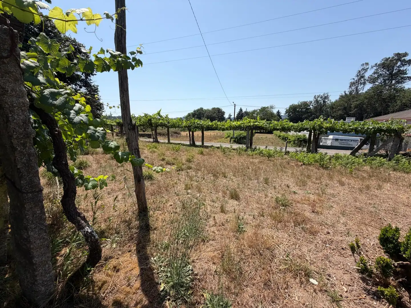 Casa o xalet en venda en Salvaterra de Miño amb Jardí privat i Parquet