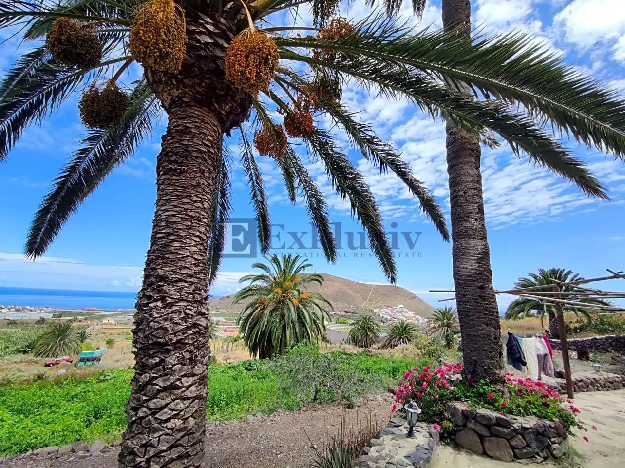 Country homes for sale in Buenavista del Norte