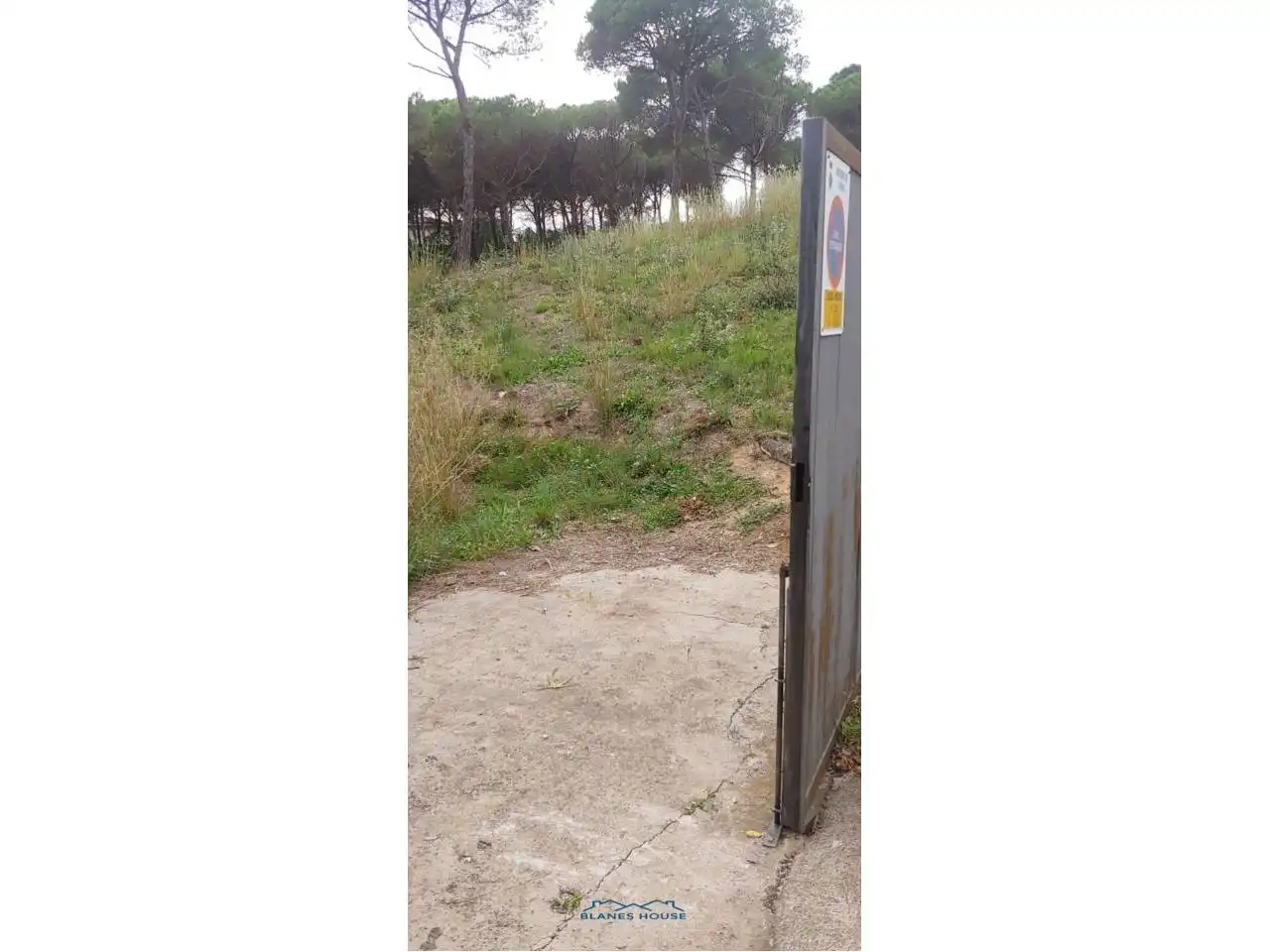 Terreno rustico in vendita a Calle San Daniel 0, imagen 7