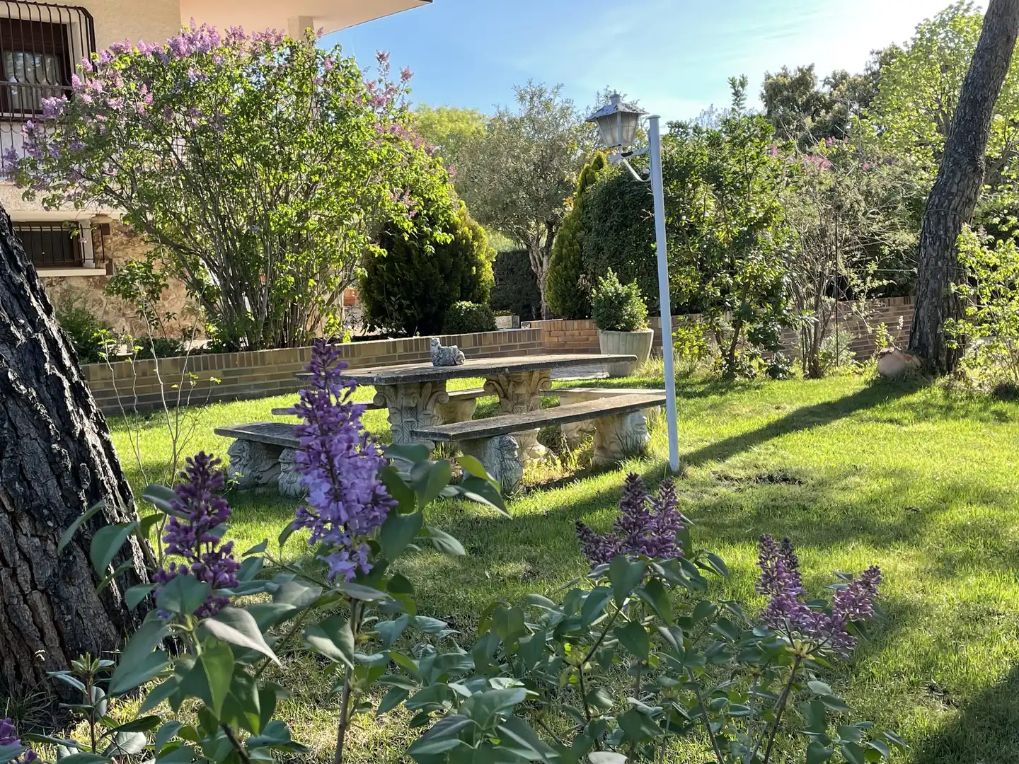Casa con terraza en venta en Los Ángeles - Jarandilla, imagen 72