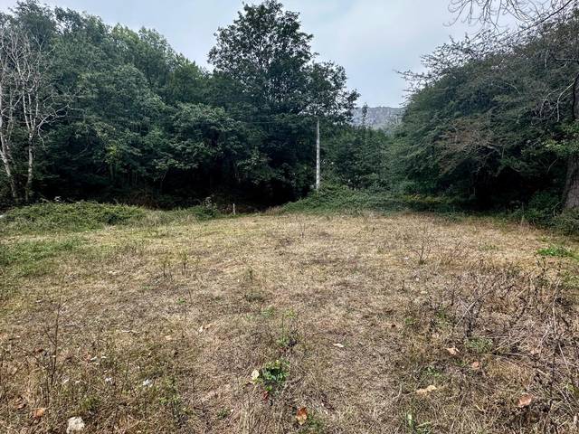 Terreno residencial en Venta en  llano margolles en Cangas de Onís