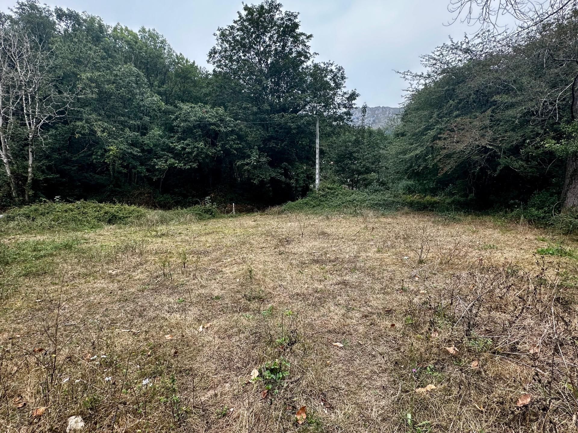 Residential for sale in Cangas de Onís