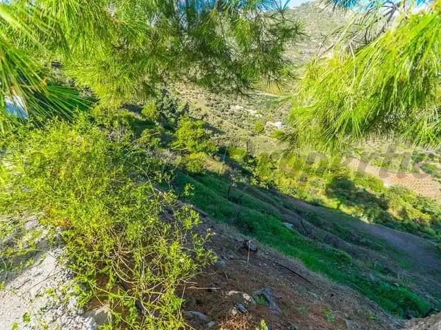 Terreni e lotti in vendita a Frigiliana, imagen 2