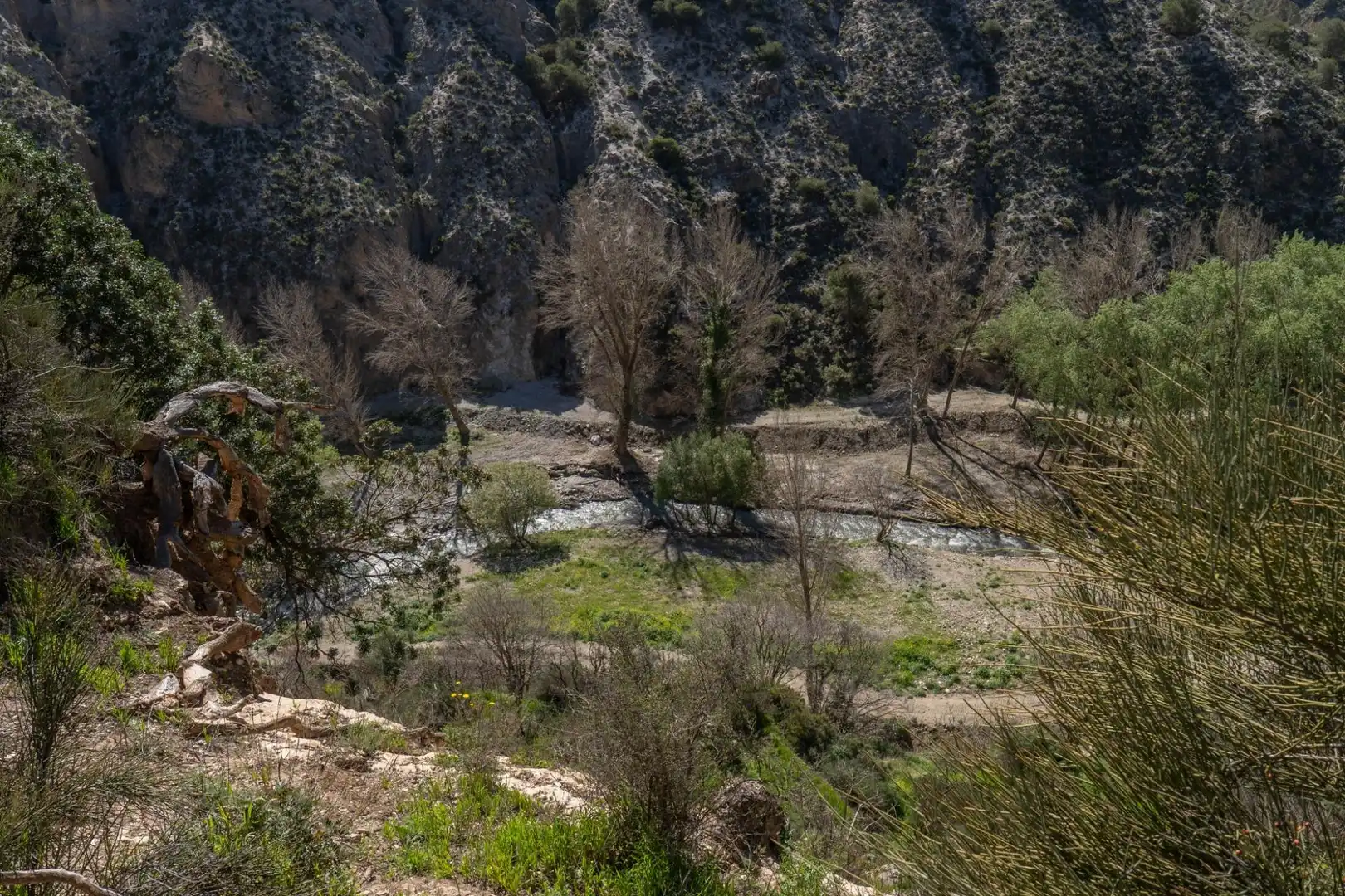 Terreni e lotti in vendita a Villamena, imagen 22