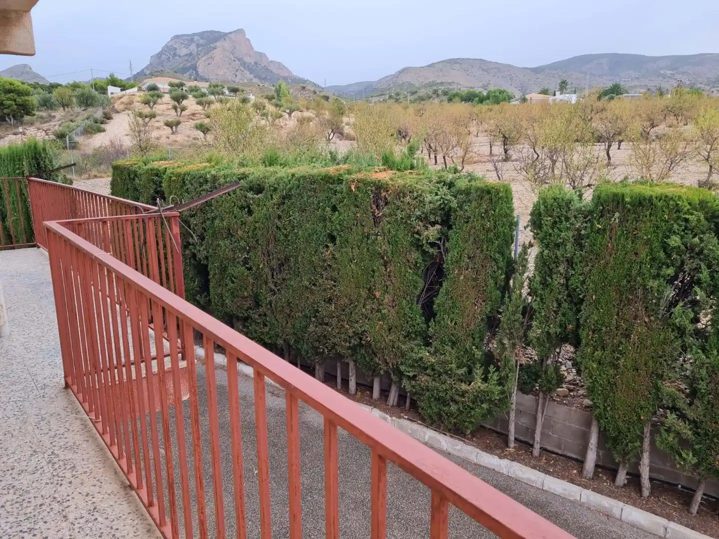 Terraza de Casa o chalet en venta en Petrer con Terraza, Trastero y Piscina