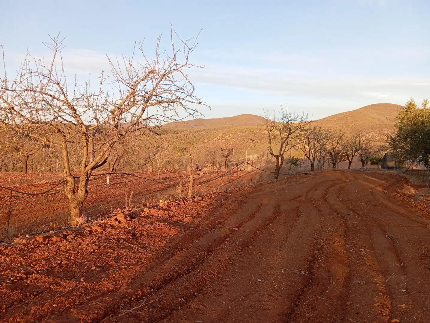 Houses for sale in Bejar