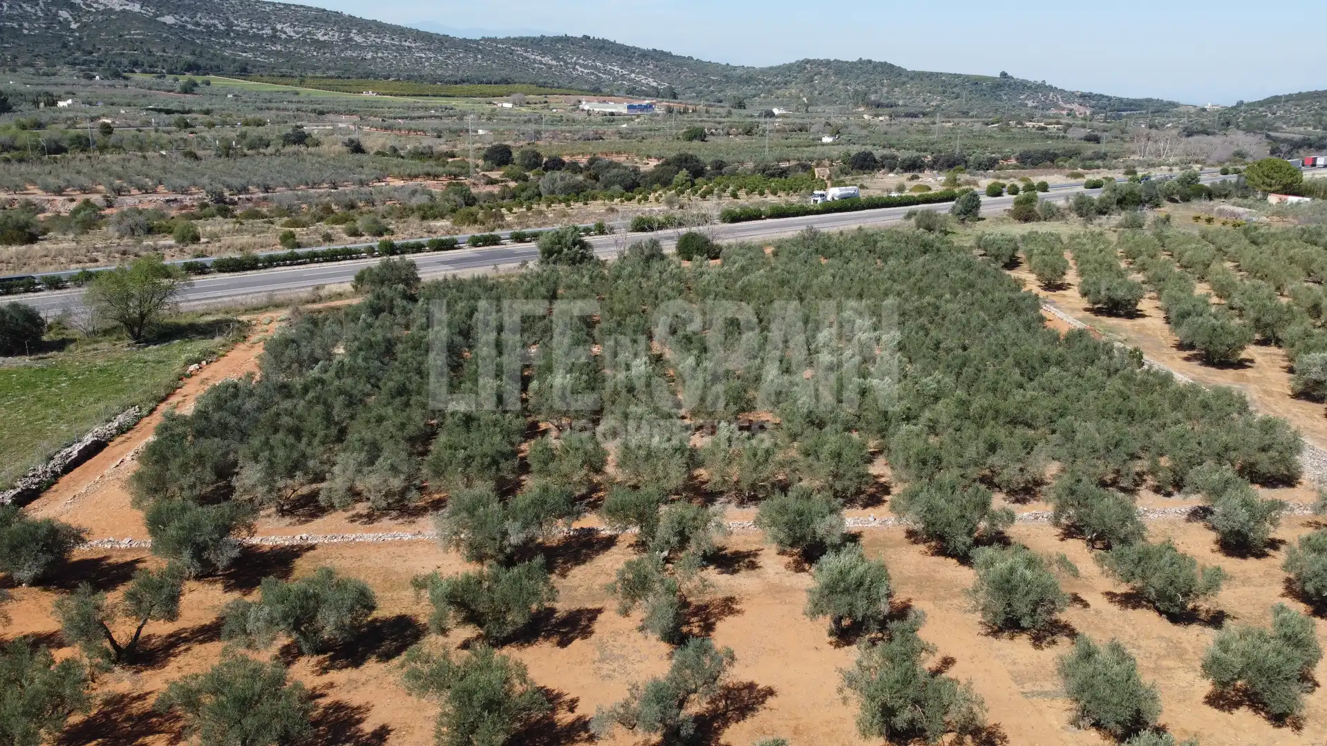 Terreno rustico in vendita a Freginals, imagen 14