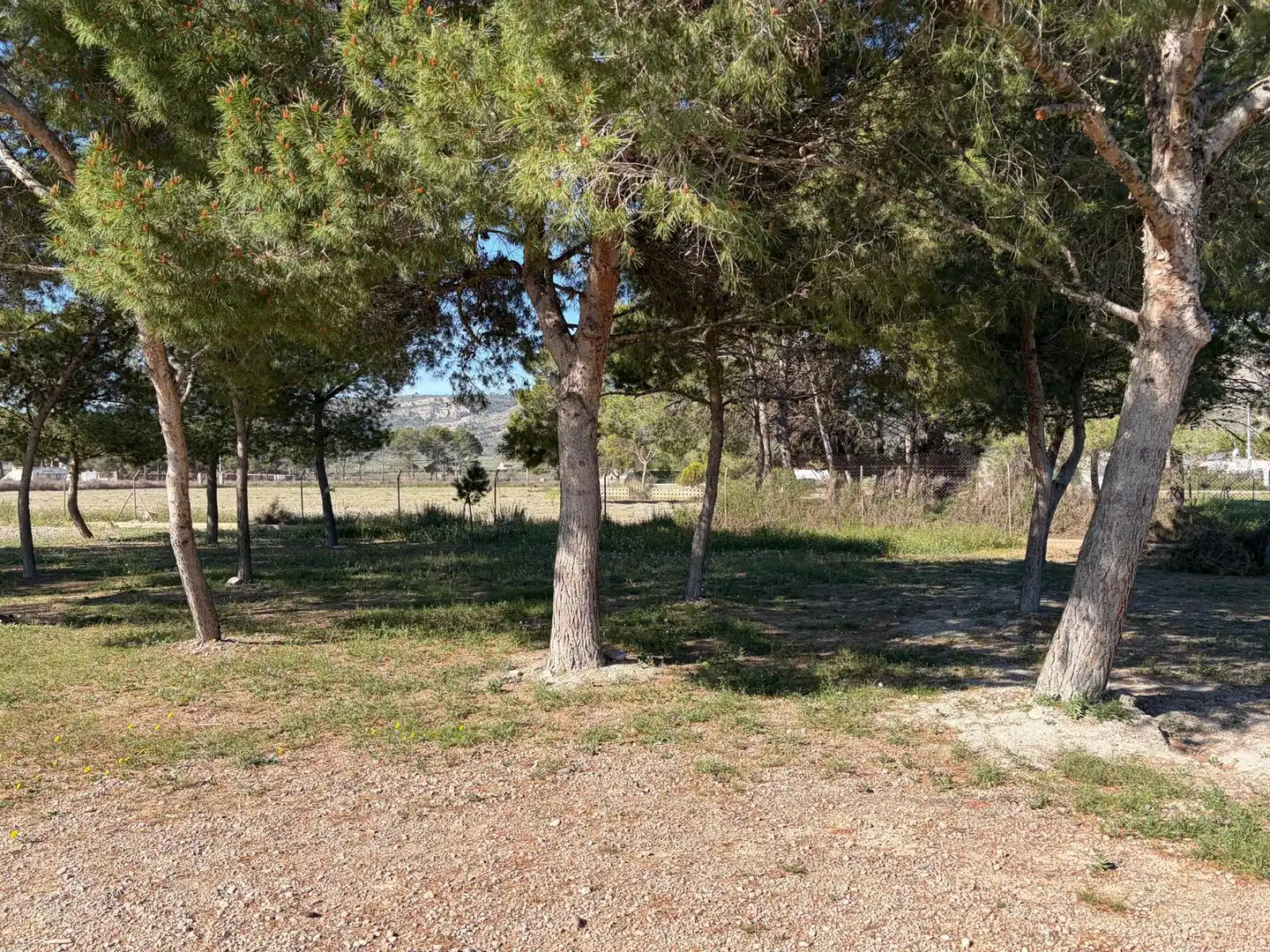Houses for sale in Villena  with Private garden, Furnished and Oven