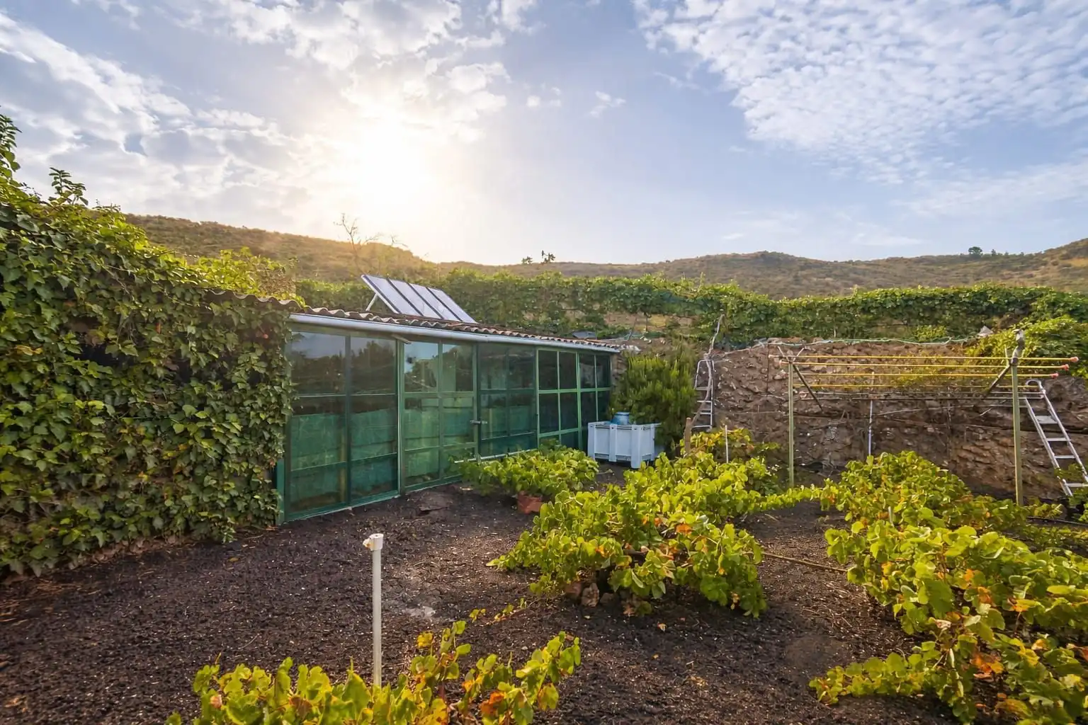 Jardí de Terreny en venda en Santiago del Teide
