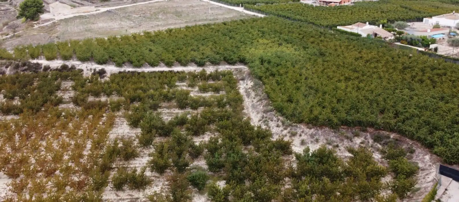 Terreno rústico en venta en Cieza, imagen 10