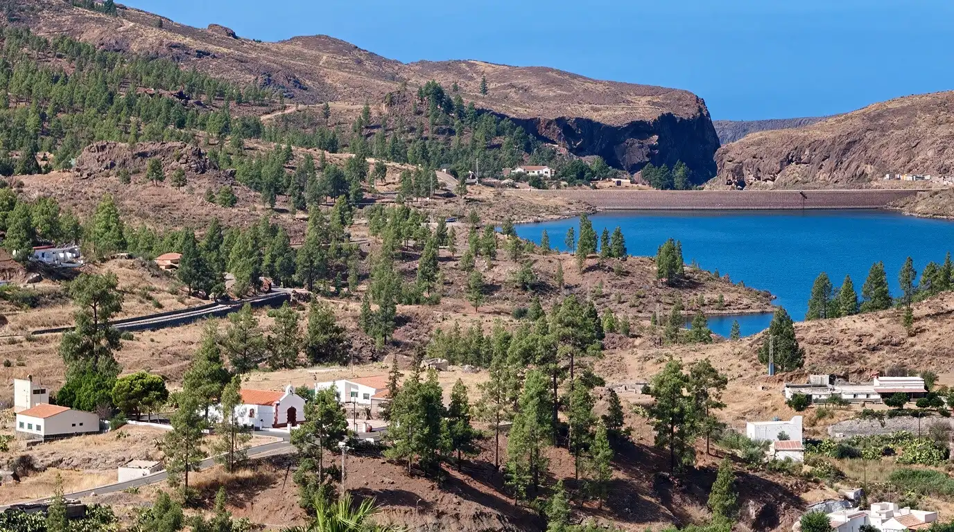 Vista exterior de Finca rústica en venda en San Bartolomé de Tirajana amb Jardí privat