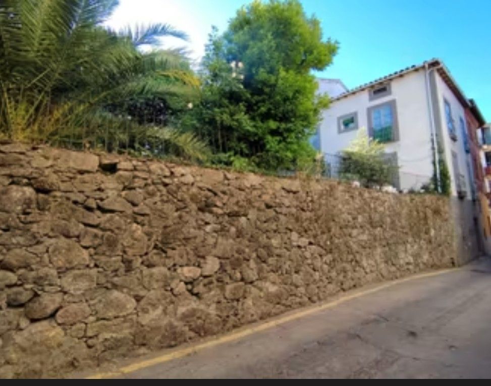 Exterior view of House or chalet for sale in Jarandilla de la Vera  with Private garden