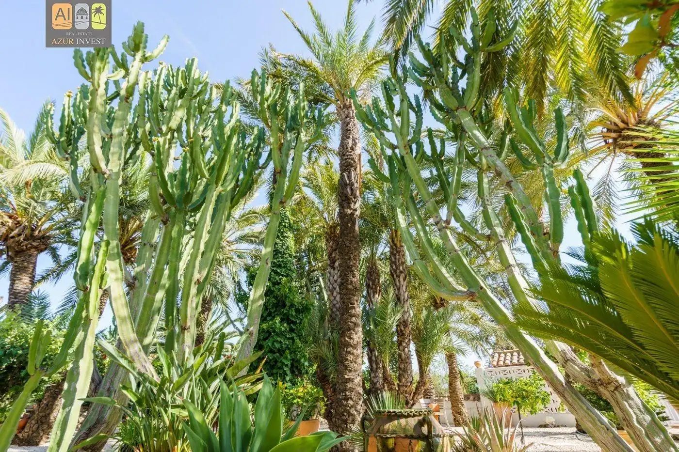 Casa o chalet en venta en Barranco Hondo